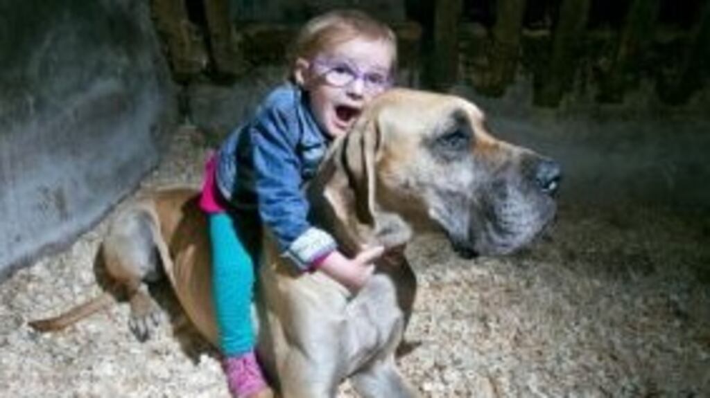 Brianna Lynch who suffers from epilepsy pictured at her home in Killaloe with her Great Dane Charlie. Photograph: Arthur Ellis