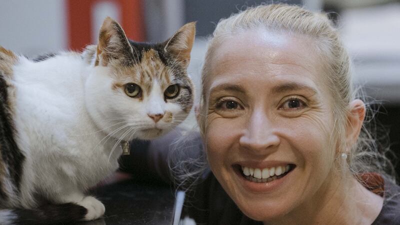 Clare Meade in Cat Hospital