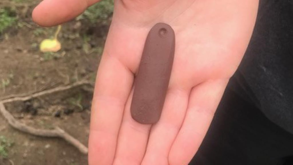 Bronze Age pendant found by schoolboy Darragh McDaniel during a community archaeology project in Co Sligo.