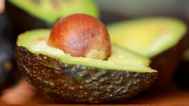 Trump’s tariff threats over Mexico and Canada weigh on Smurfit Westrock