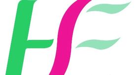 HSE audit says €72,000 spent on team development at Jigsaw charity