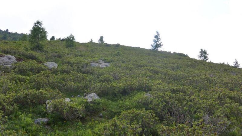 Handout photo issued by the Valais Police Department of a general view of the area of Trient, Switzerland, where British stuntman Mark Sutton, was killed in an accident. Photograph: Valais Police Department/PA Wire.