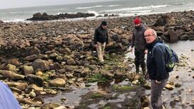 Possible 4000-year-old crannóg site discovered in Connemara
