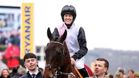 Cheltenham winner Air Of Entitlement returns to action at Fairyhouse