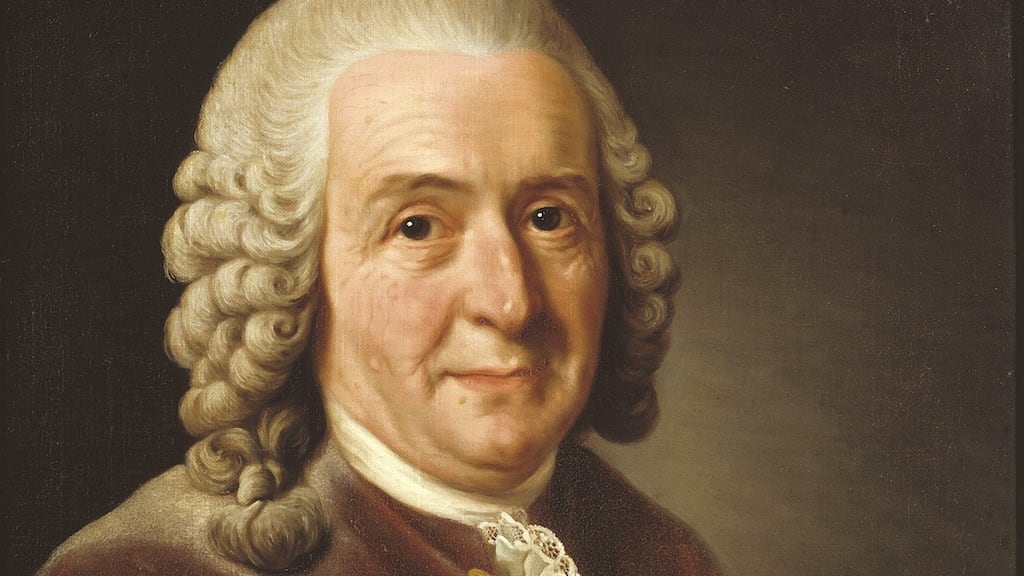 Carl Linnaeus’s standardisation of plant names revolutionised botany