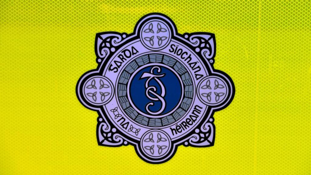 Judge Ring previously confirmed Gda Maguire has not yet entered a plea  and is still presumed innocence. Photograph: David Sleator