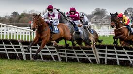 Mystique Heights gets 2019 off to a flying start for Luke Comer