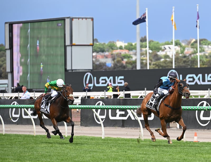 Jamie Melham riding Half Yours defeats Wayne Lordan riding Goodie Two Shoes in this year's Melbourne Cup at Flemington Racecourse, Australia. Photograph: Vince Caligiuri/Getty Images