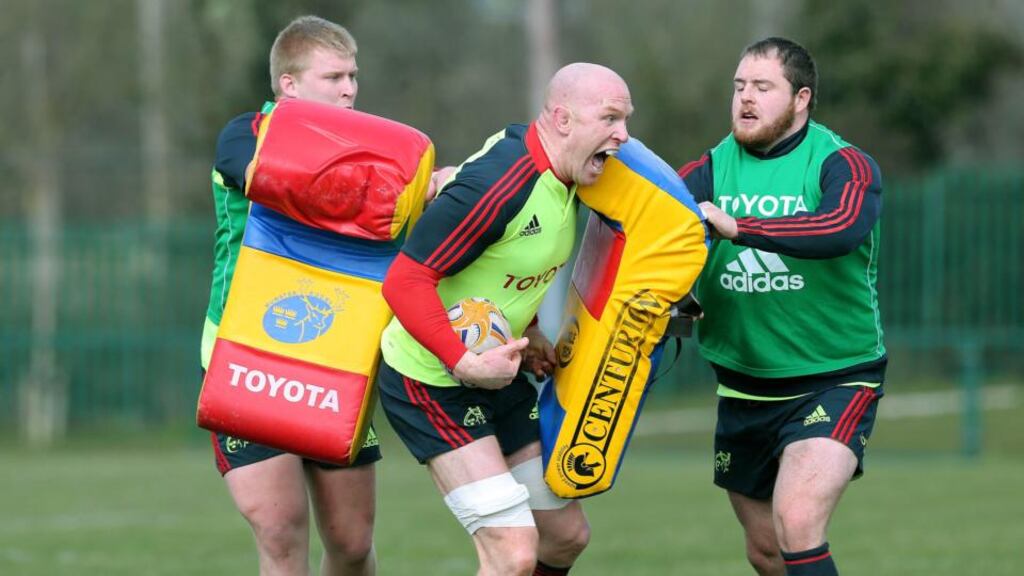 Paul O'Connell’s return is a timely boost for Rob Penney and Munster. Photograph: Lorraine O'Sullivan/Inpho