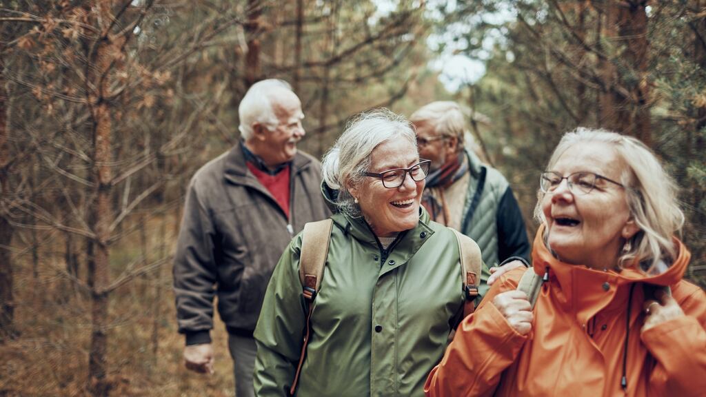 The Age Friendly Ireland Programme aims to future-proof society for growth in the ageing population across all sectors. Photograph: iStock