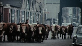 Cracking the code of the Irish midlands