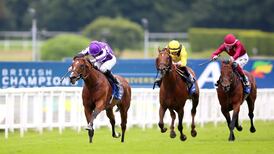 St Mark’s Basilica lands Eclipse at Sandown for Aidan O’Brien