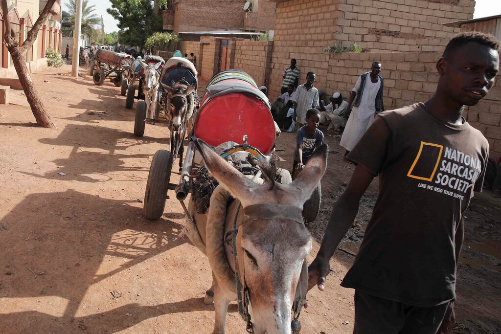 A man leads donkeys pulling water barrels in Khartoum, Sudan. Photograph: Marwan Ali/AAP/PA