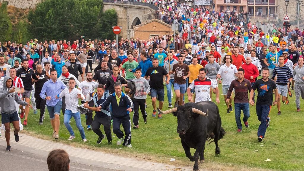 Festival-goers chase the bull during the rebranded “Toro de la Pena” in Tordesillas, Spain, but, unlike previous years, they are no longer allowed to kill it. Photograph: AFP/Getty Images