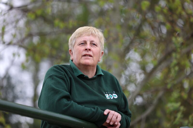 Helen Clarke: Although today about half the staff at Dublin Zoo are women, in the 1980s 'you had to fight your way up'. Photograph: Dara Mac Dónaill