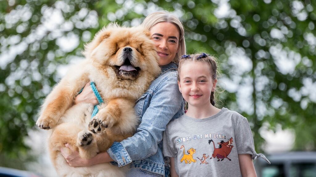Pumba, a Chowchow from Kerry, is the nation’s cutest puppy. Pumba’s owners are Catriona and Taylor Dowling. Photograph: Alan Place