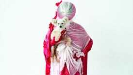 Tardigrade: Keeping the audience on their toes with a riot of colour and movement