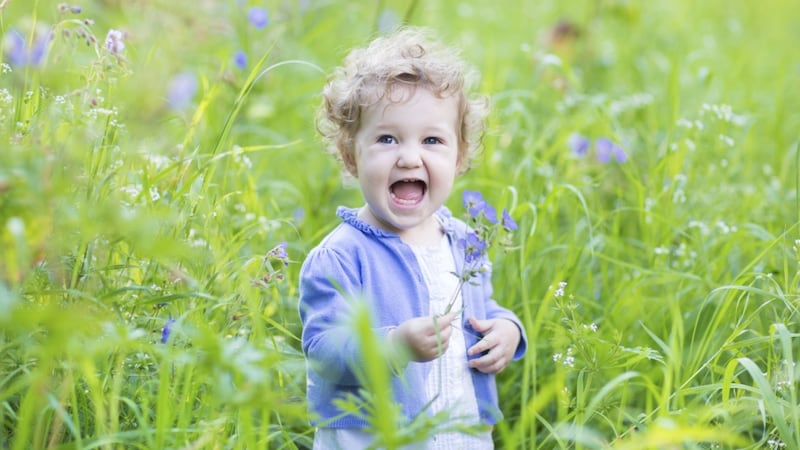 Photograph: Getty Images