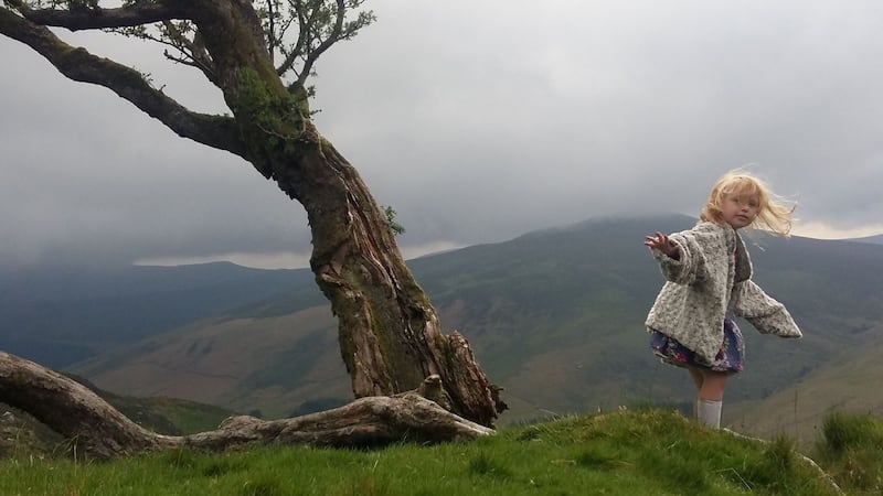 Summer Pix 2019:  in the Wicklow Mountains. Photograph: Liam Murphy
