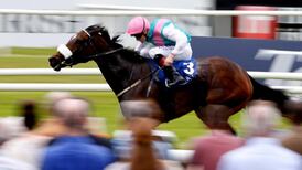 Dermot Weld may give Brooch chance to get back to winning ways