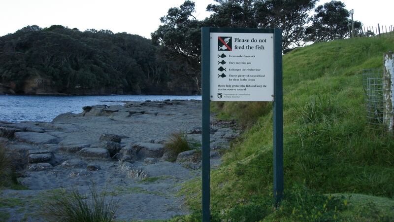 A sign indicating protections are in place at Leigh reserve in New Zealand