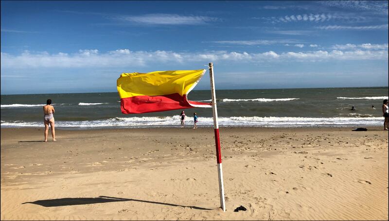Beach swimmers should stay between lifegaurd flags. Photograph: Bryan O'Brien/The Irish Times