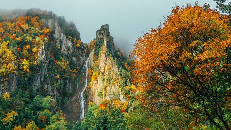 Hokkaido, seen here in autumn, is the northernmost of Japan’s main islands, and is the location for the coveted Mizunara wood. Photograph: Getty Images
