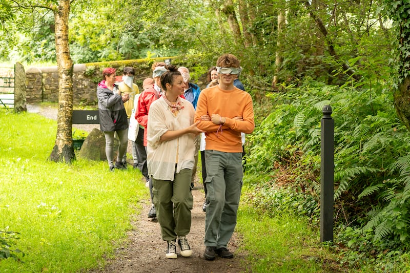 Sensory Walk, Aughrim: The feeling of support that was available through that guiding arm was unexpectedly profound. Photograph: Louis Haugh