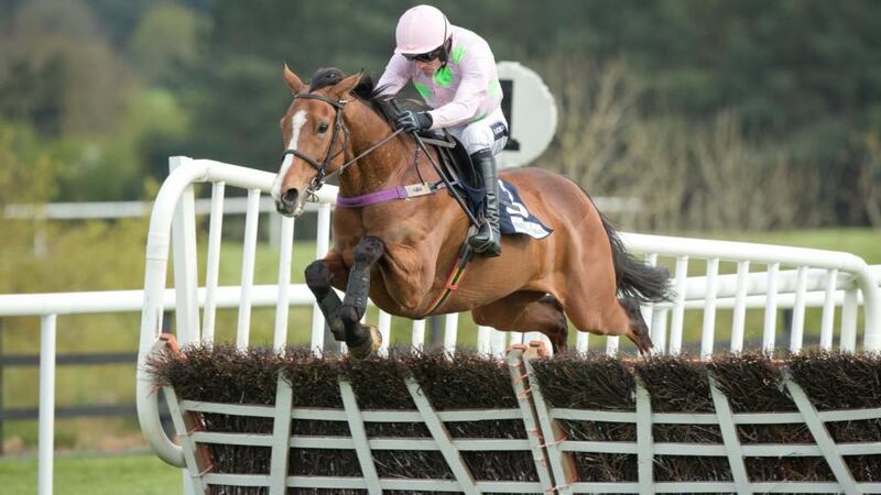 Ruby Walsh and Faugheen on the way to winning the Punchestown Champion Hurdle. Photo: Morgan Treacy/Inpho