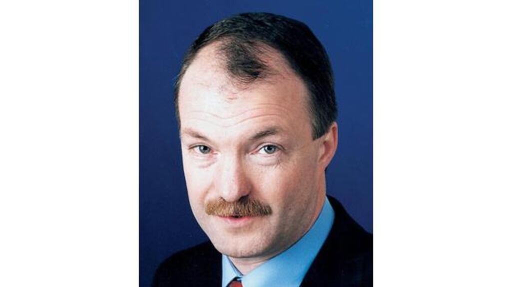 Mr Sean Haughey: committee to hold hearings in near future