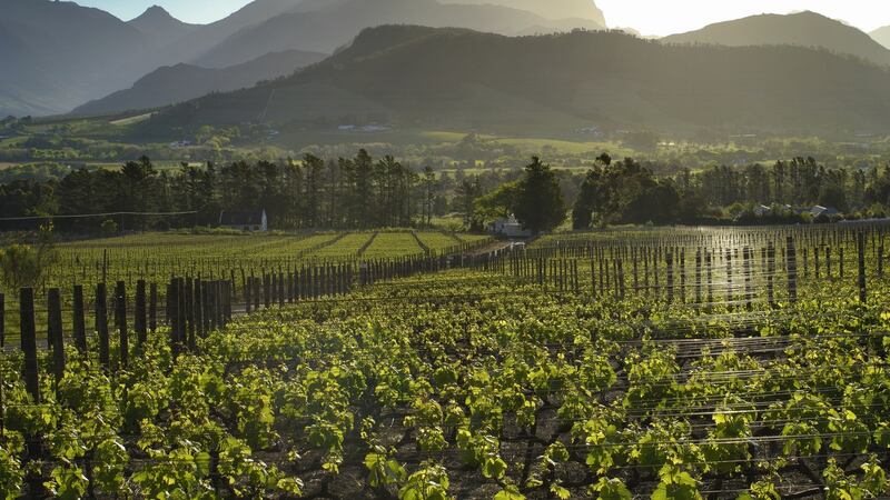 Take a romantic road trip through South Africa’s picturesque Cape Winelands, the country’s gourmet region, staying in picture postcard towns such as Franschhoek