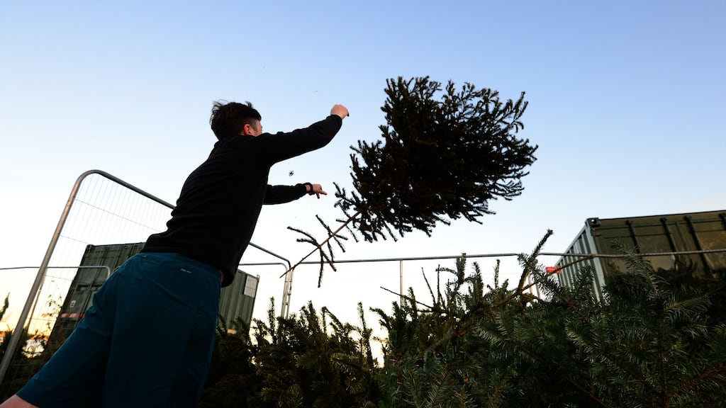 Disposing of a Christmas tree fat Strand Road, Sandymount, Dublin. Photograph: Dara Mac Dónaill