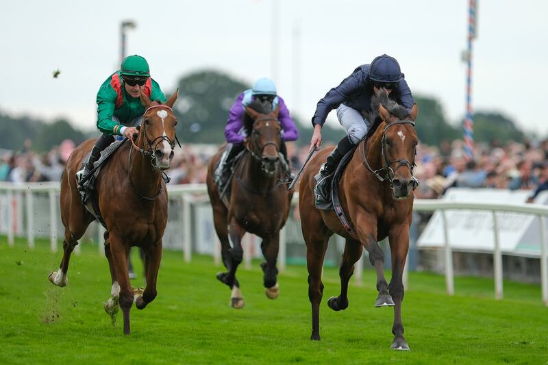 Ryan Moore riding City Of Troy to win The Juddmonte International Stakes at York. Photograph: Alan Crowhurst/Getty Images