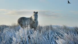 Snow and ice warning in place across Ireland