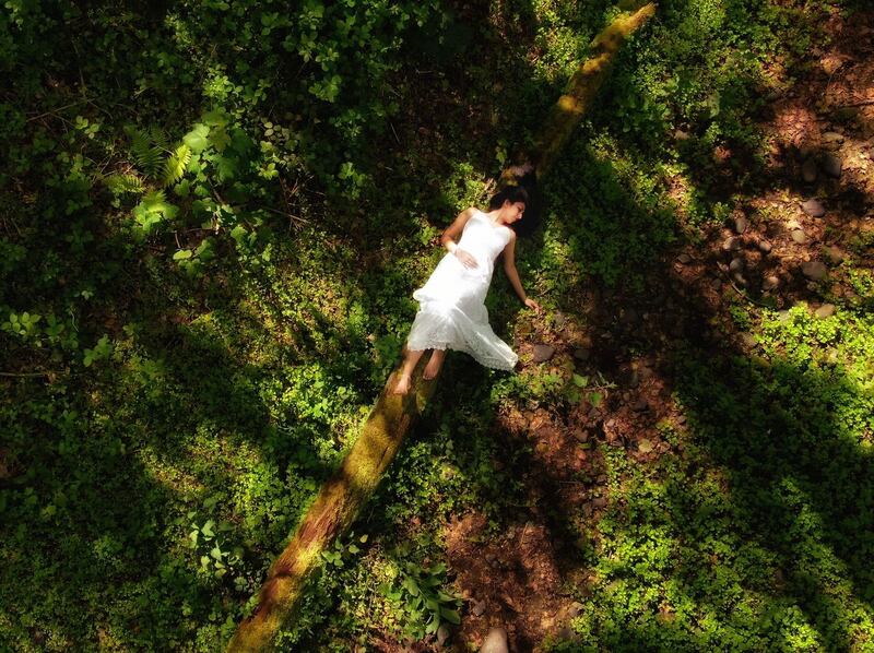 Summer Pix 2019: ...and she said, ‘I’m at home, among the trees.’ Photograph: Adarsh Ananthachar
