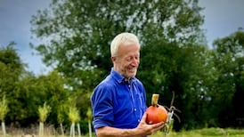 Organic market gardener Charles Dowding: ‘So many people are intimidated or confused by the advice available’