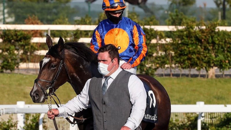 Seamus Heffernan and Peaceful after their 1,000 Guineas success. Photograph: Caroline Norris/Inpho