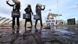 Cop26 made tangible progress with shift to ‘the hows’ in climate action – webinar told