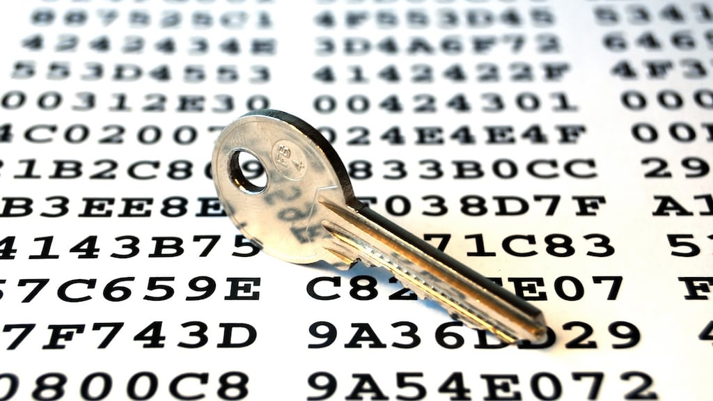 HSE chief executive Paul Reid said if the ransom demand was met, the State would be making the gang stronger for future attacks. Photograph: iStock