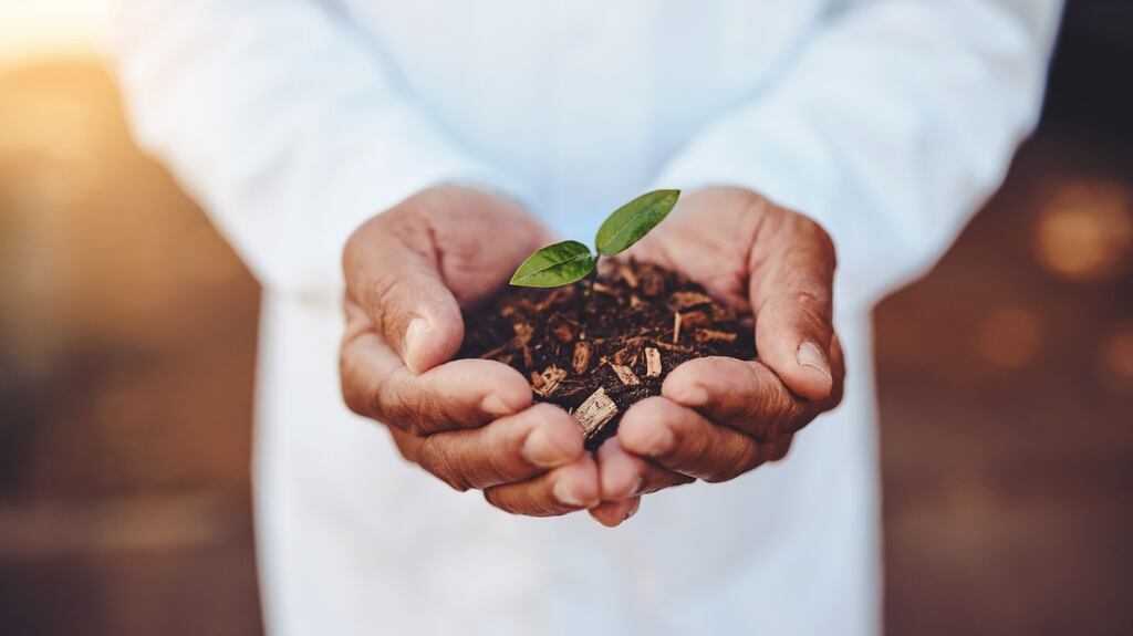 Take part in a discussion on the future of food, from the comfort of home. Photograph: iStock