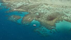 2019 was record year for ocean temperatures, study shows