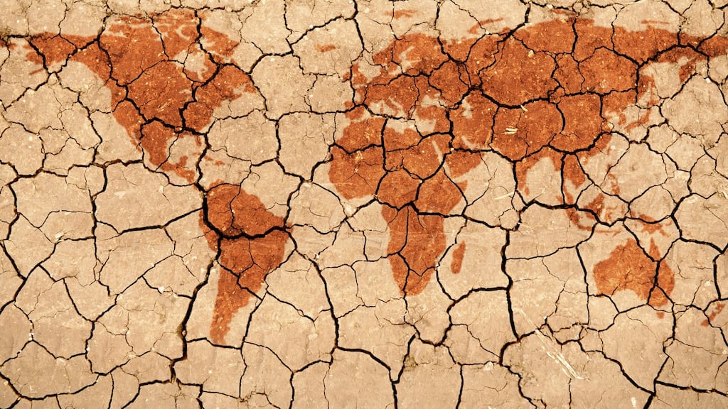 According to crop modelling, which helps to estimate yields when certain weather and soil conditions are applied, drought will decimate staple foods under a low mitigation future, especially important ones such as maize