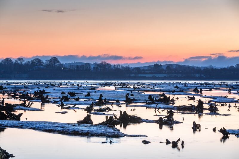 A frosty morning before sunrise at the Gearagh, near Macroom, Co Cork, Ireland, illustrating the extensive loss of native trees. Photograph: David Creedon/Anzenberger