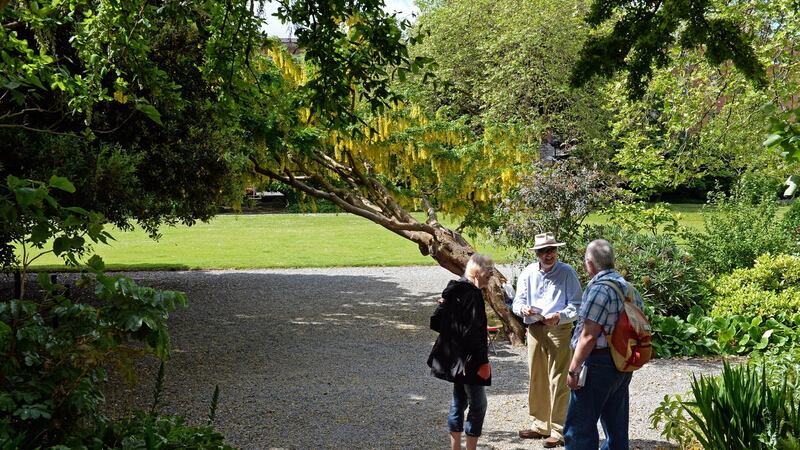 A stroll in Fitzwilliam Square. Photograph: Eric Luke