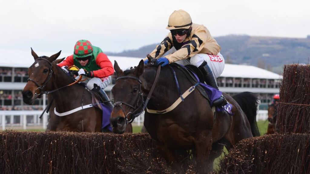 Boston Bob, seen here at Cheltenham earlier this month, will not race in the Irish Grand National. Photograph: Mike Hewitt/Getty Images