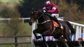 Gigginstown’s Apple’s Jade leads stable’s Punchestown hopes