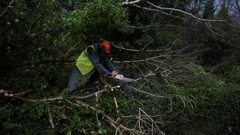 A worker clears fallen trees off a road with a chainsaw following Storm Ophelia in the Burren in Co Clare on Monday afternoon. Photograph: REUTERS/Clodagh Kilcoyne