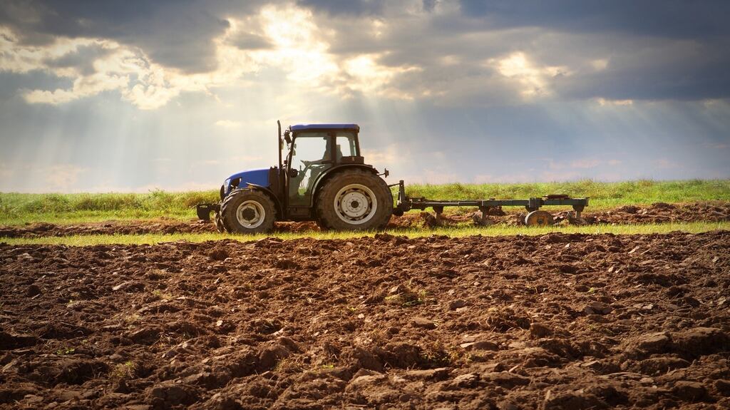 “They drive them with the same imperious air of an all-conquering warlord”