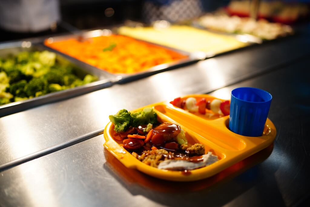 School dinners: 'Imagine that the menu is determined by what the farmers deliver that week and the preferences of the community...  Probably good to have a vegetarian option, something gluten-free. But it’s like going to someone’s house for dinner – within reasonable limits you get what you’re given, what the land gives.' Photograph: Ben Birchall/PA Wire