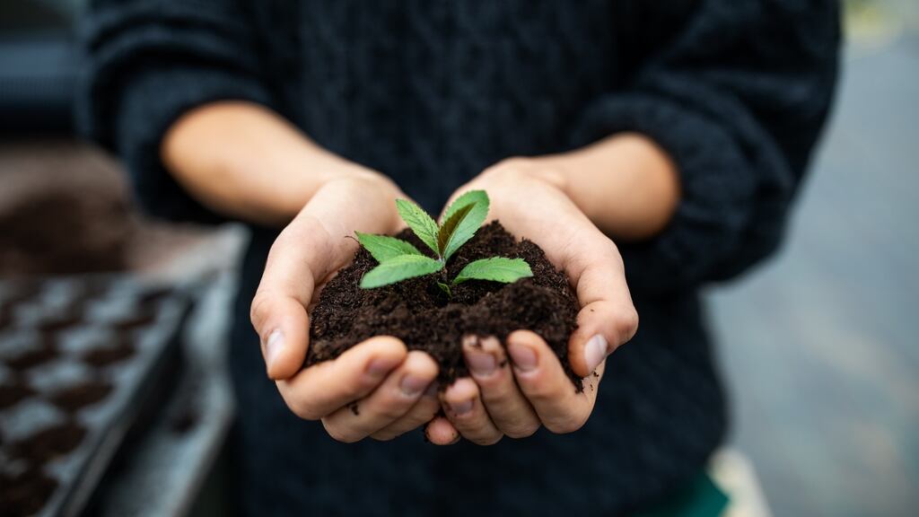 Composting our food waste reduces the fossil fuels used to transport it to waste depots. Photograph: Getty